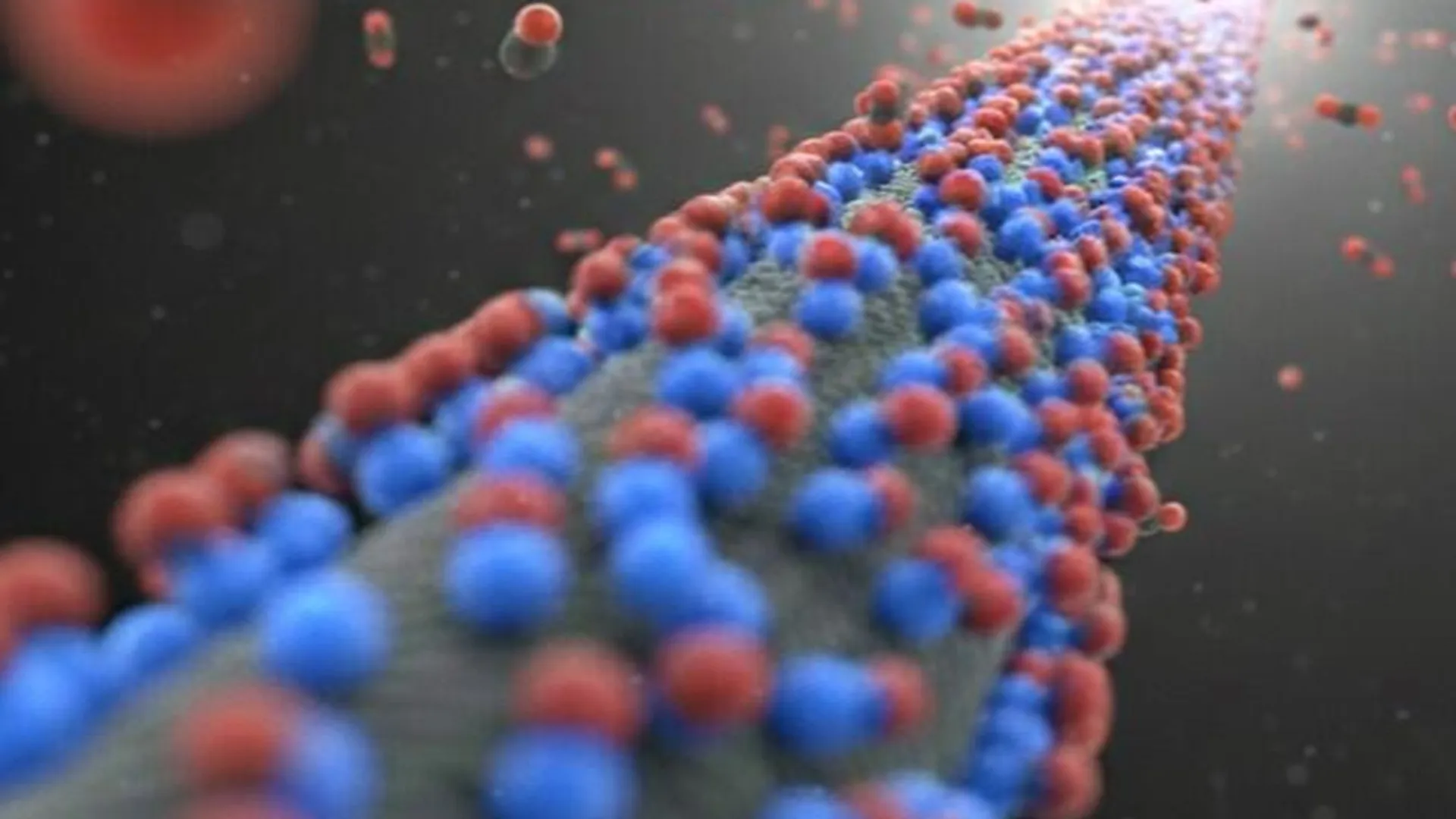 New carbon material releases carbon dioxide at 140°F, cuts energy use