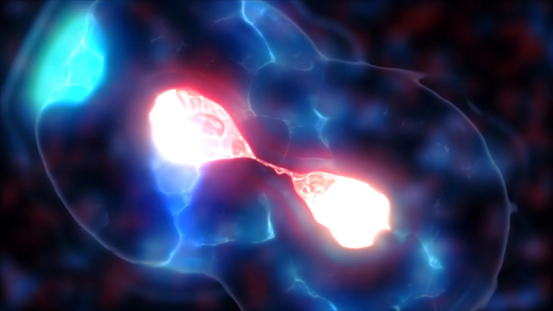 Scientists finally solve the mystery of yeast’s tiny centromeres