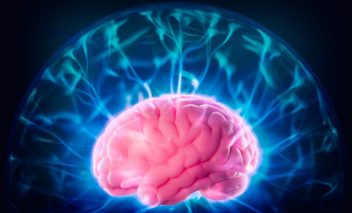 Scientists Say Light Particles Traveling Through Brain Tissue Could Be Carrying Consciousness