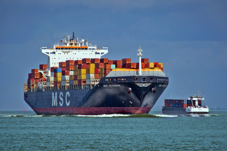 Shipping’s biofuel gamble could deepen Africa’s land squeeze and food insecurity (commentary)