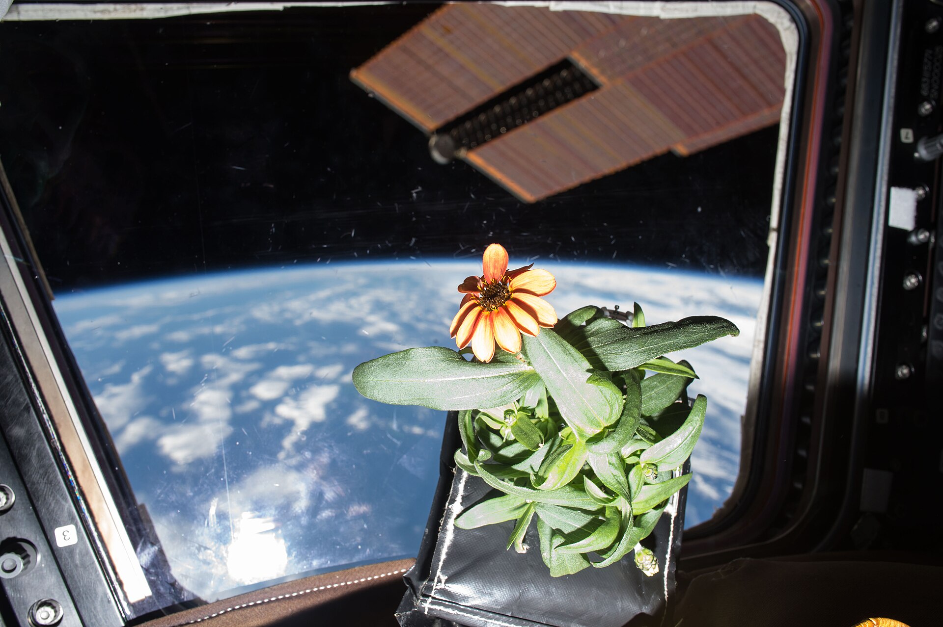 How astronaut waste could feed future colonies in space