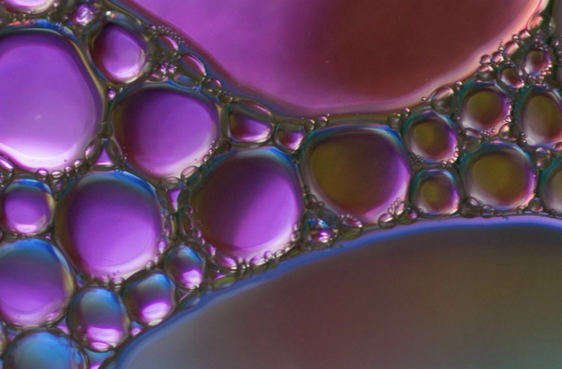 When Gut-Brain Signaling Improved in Aging Mice, So Did Cognition