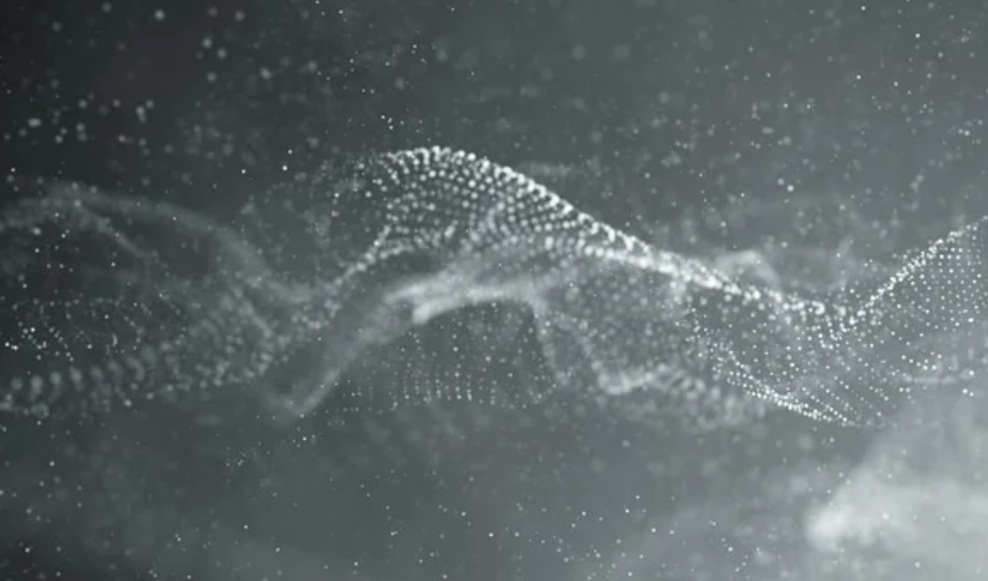 Giant DNA Viruses Have a Feature Like One in Complex Cells