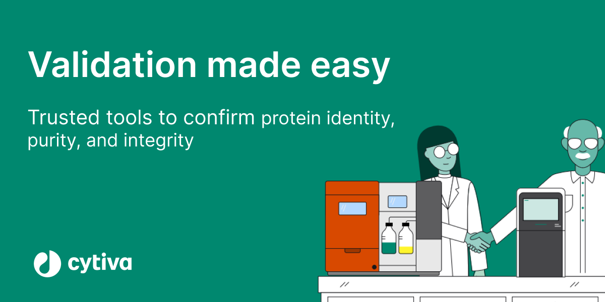 Confident protein validation: The power of SDS-PAGE and Western blot in ÄKTA™ chromatography workflow