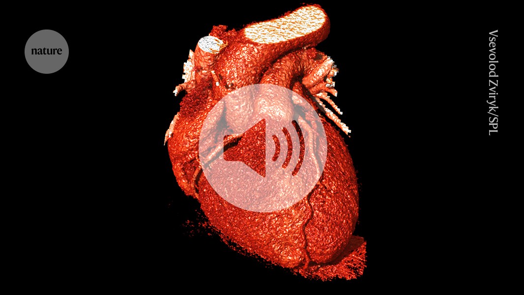 Heart surgery with quick-setting magnetic fluid could prevent strokes