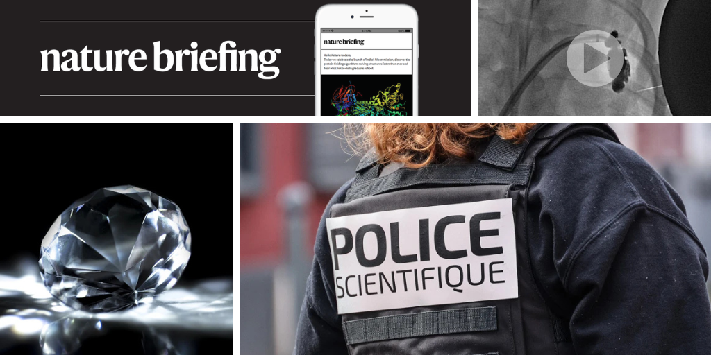 How DNA testing can tell identical twins apart