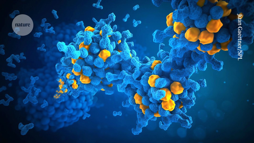 Polymers with purpose: molecules can squirm free of the pack