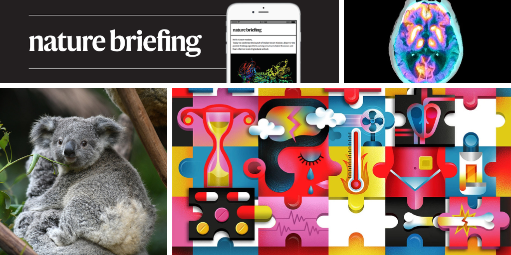 How koalas escaped a genetic bottleneck