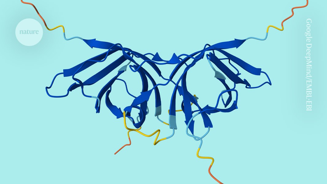 the AI database now includes protein pairing
