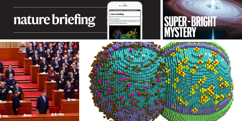 ‘Virtual cell’ simulates nearly every chemical reaction in the real thing