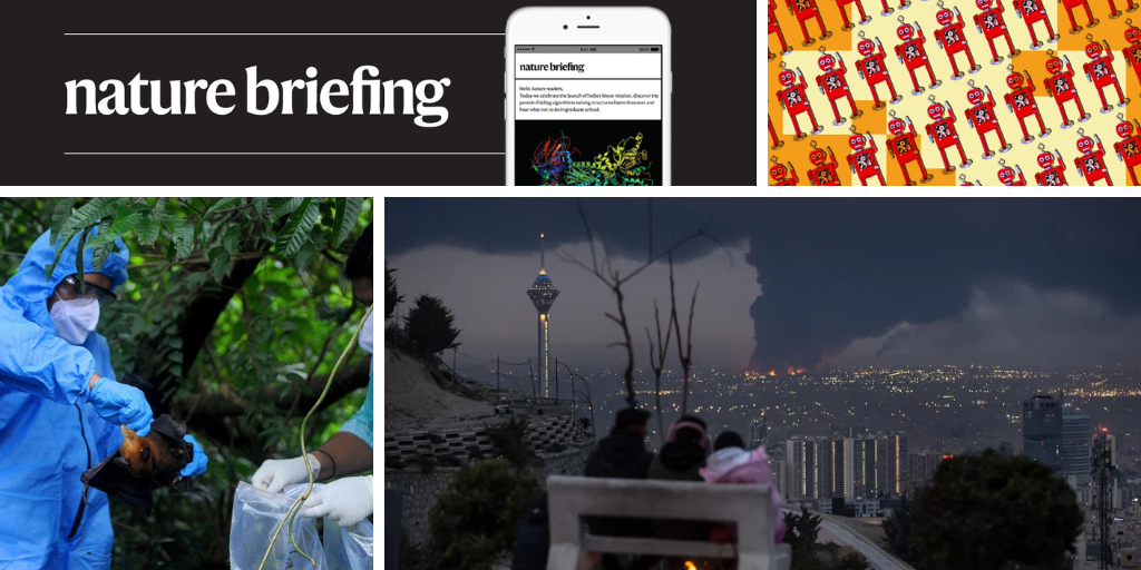 Vaccine-carrying mosquitoes could inoculate bats against rabies