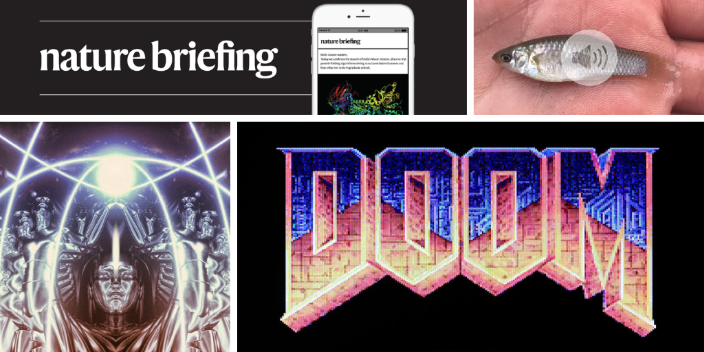 Genomes shake up the shark family tree