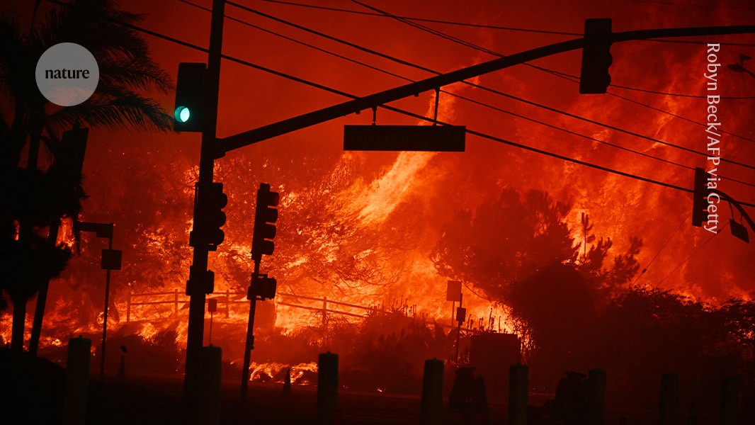 The world just lived through the 11 hottest years on record — what now?