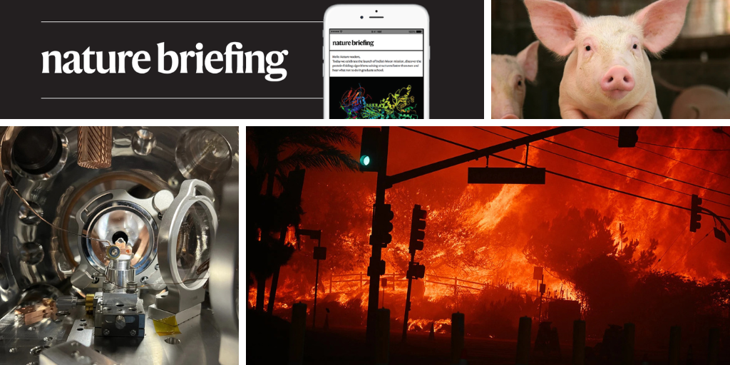 We’ve just had the 11 hottest years on record