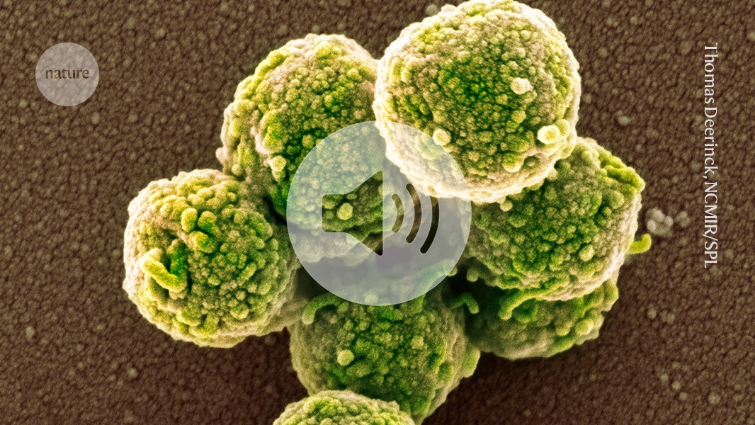 ‘Zombie cells’ resurrected with new genes