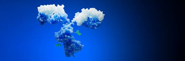 Accelerating bioconjugate development through rapid exploratory screening and analytics