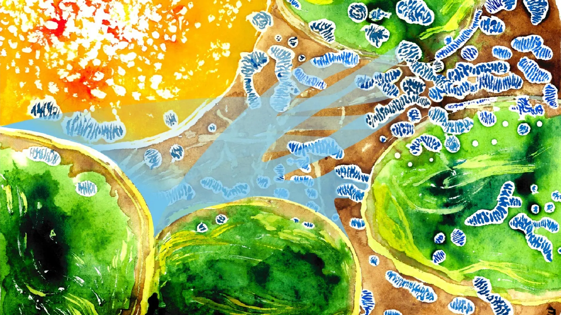 Scientists discover oxygen tug of war inside plant cells