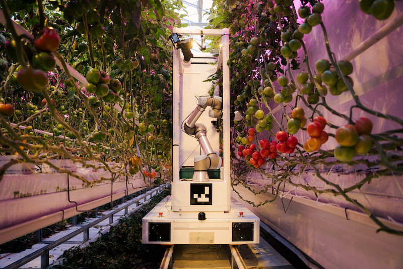German startup eternal.ag launches fully autonomous harvesting robot to tackle greenhouse labor shortage