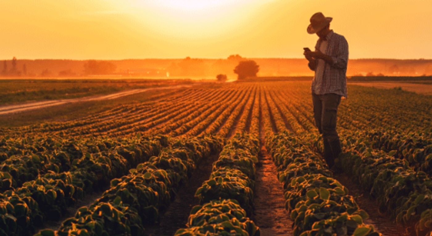 Re-thinking ‘in-house’ targeted GBS testing strategies can save time & money