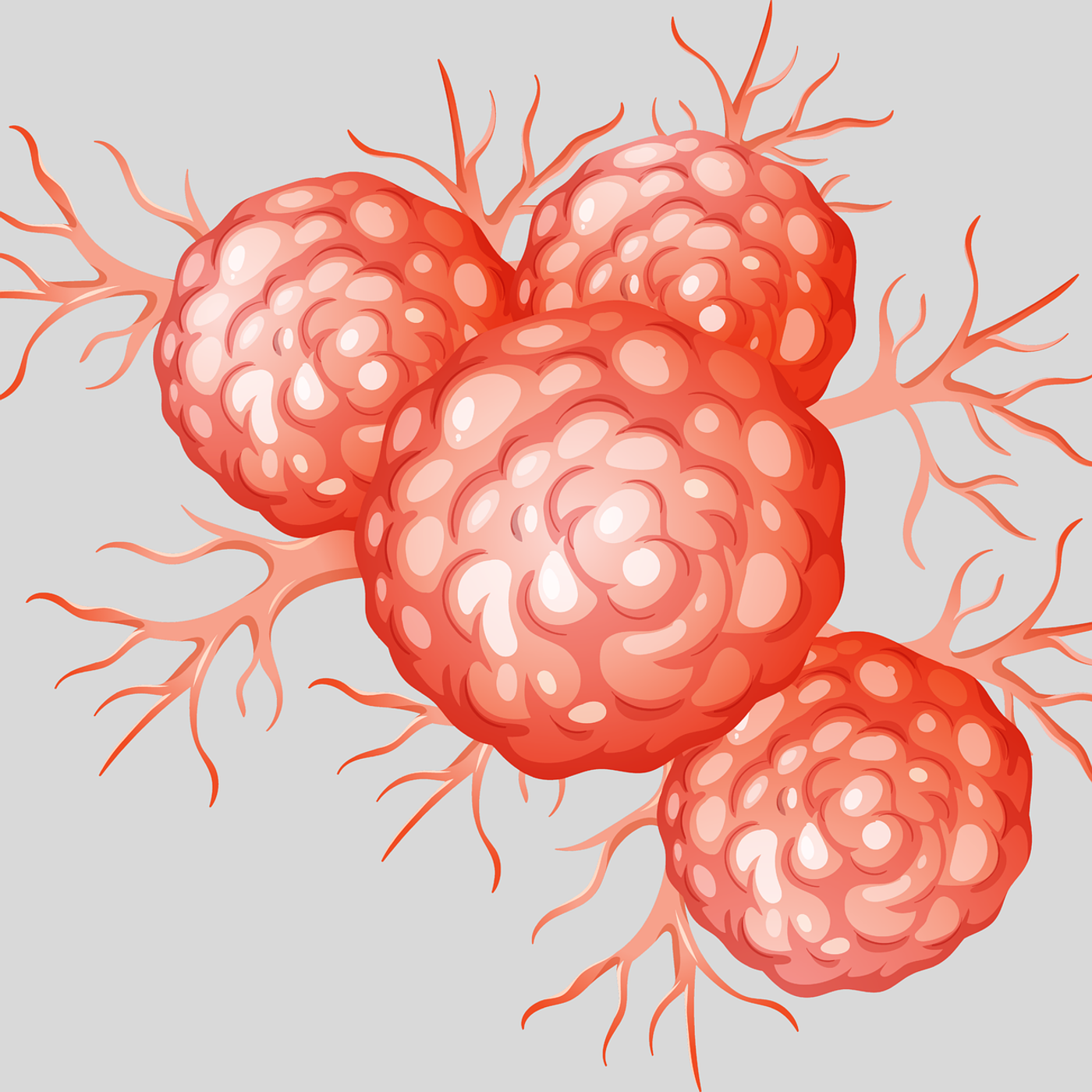 Plant Product Induces Anticancer Activity Against Breast Cancer Cells