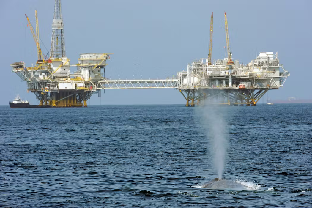 Trump’s ‘God Squad’ pits energy vs. endangered species, but it’s a false choice – protecting wildlife can be good for business