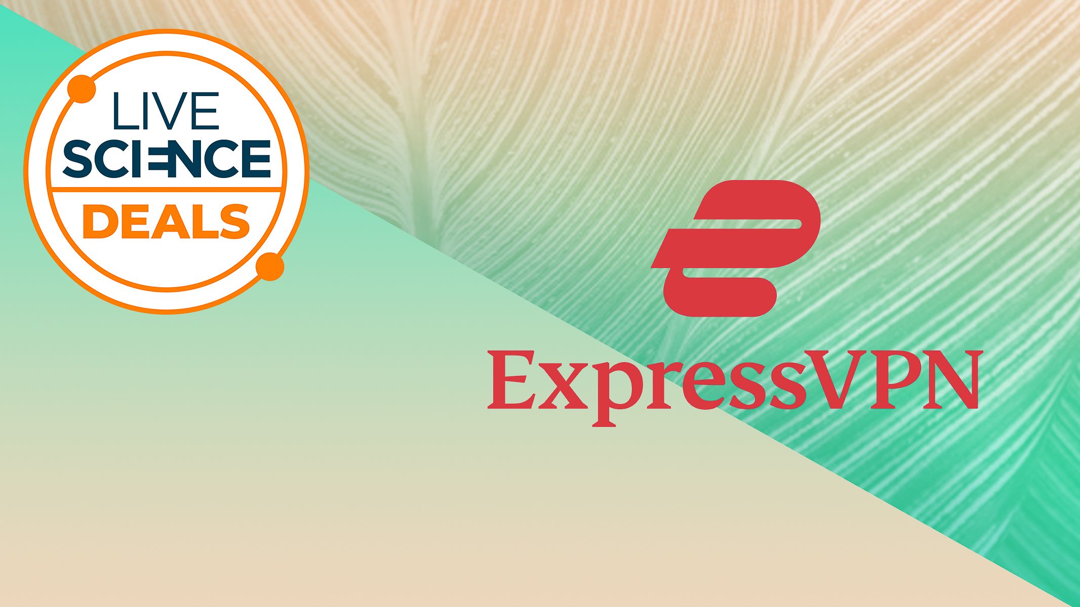 Enjoy “Born to be Wild” anywhere with this best-ever ExpressVPN deal