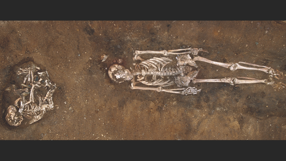 Europe’s first domesticated dogs arrived over 3,000 years earlier than we thought