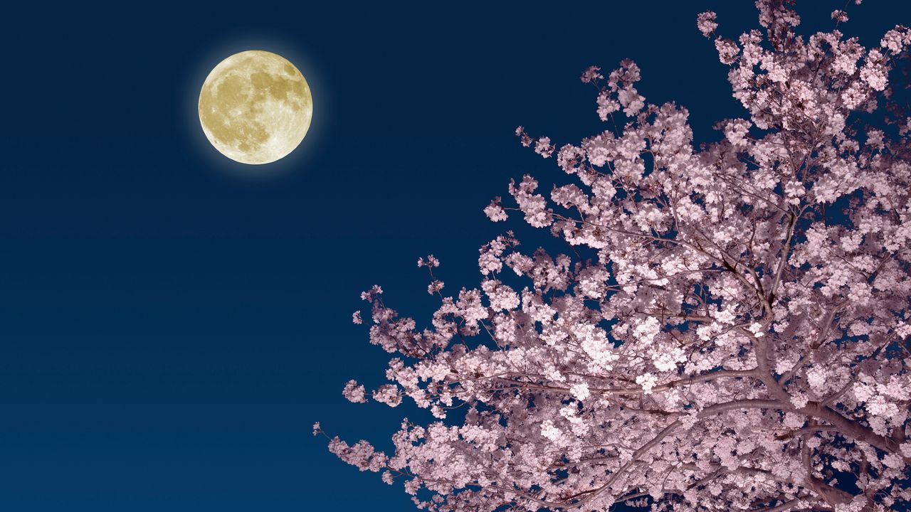 How to catch the full ‘Pink Moon’ in April followed by a ‘Blue Moon’ in May