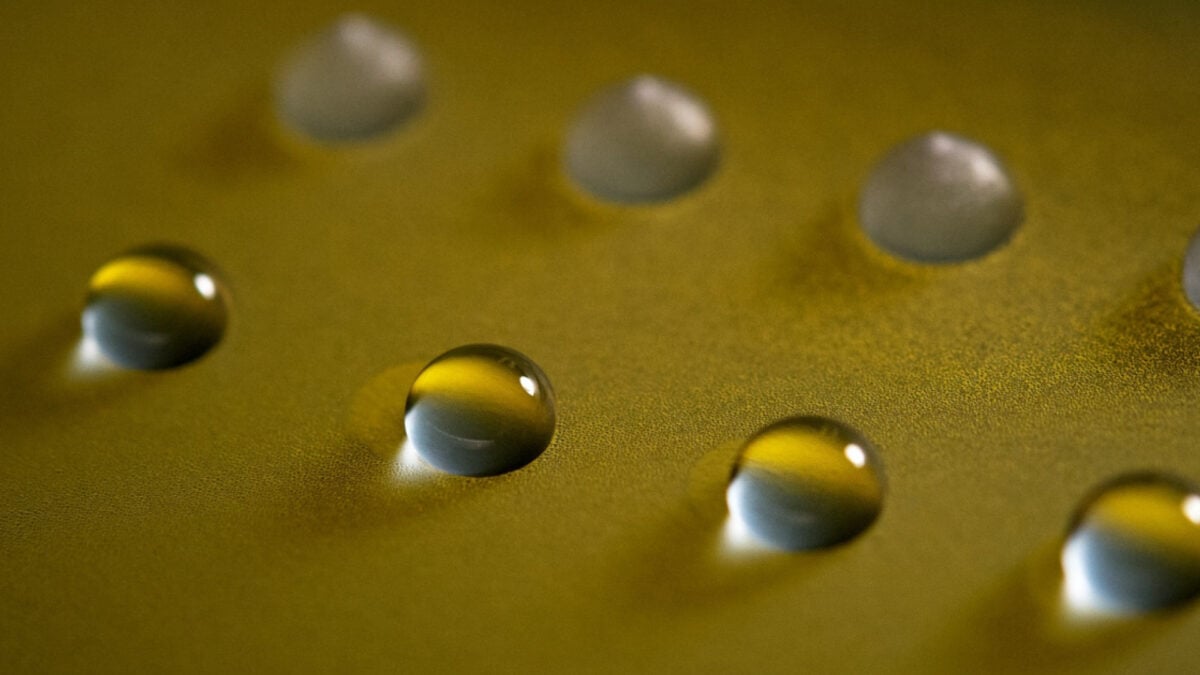 This Fungus Can Make Water Freeze