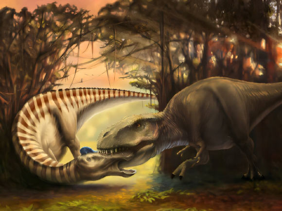 Duck-Billed Dinosaur Fossil Shows Direct Evidence of Tyrannosaur Attack
