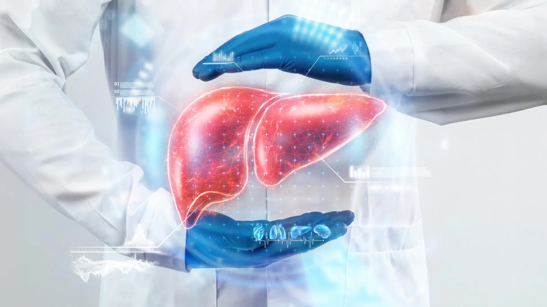 Fatty liver breakthrough: A common vitamin shows promise