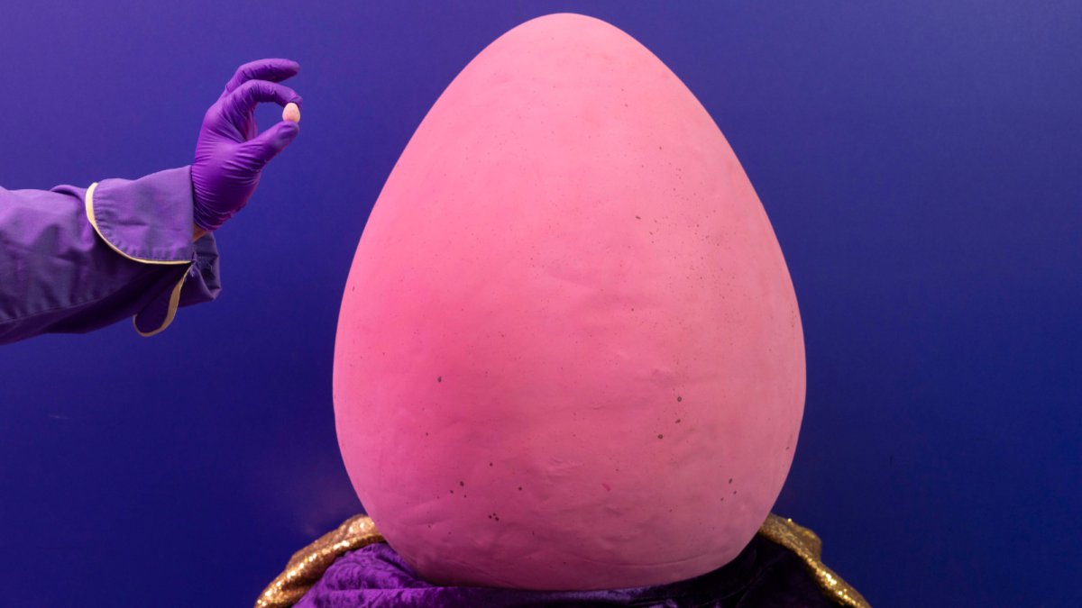 World’s largest Cadbury Mini egg weighs as much as an emu