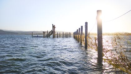 Fish Traps Have Been Banned on the Columbia River for Nearly a Century. Could Bringing Them Back Help Save Salmon?