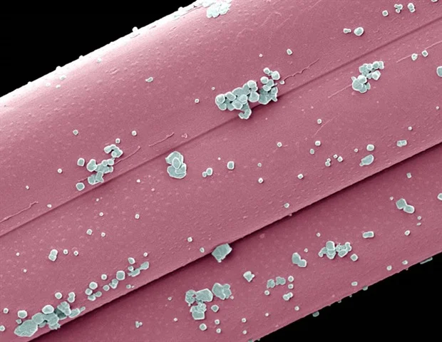 New nanoparticle therapy overcomes T cell exhaustion in solid tumors