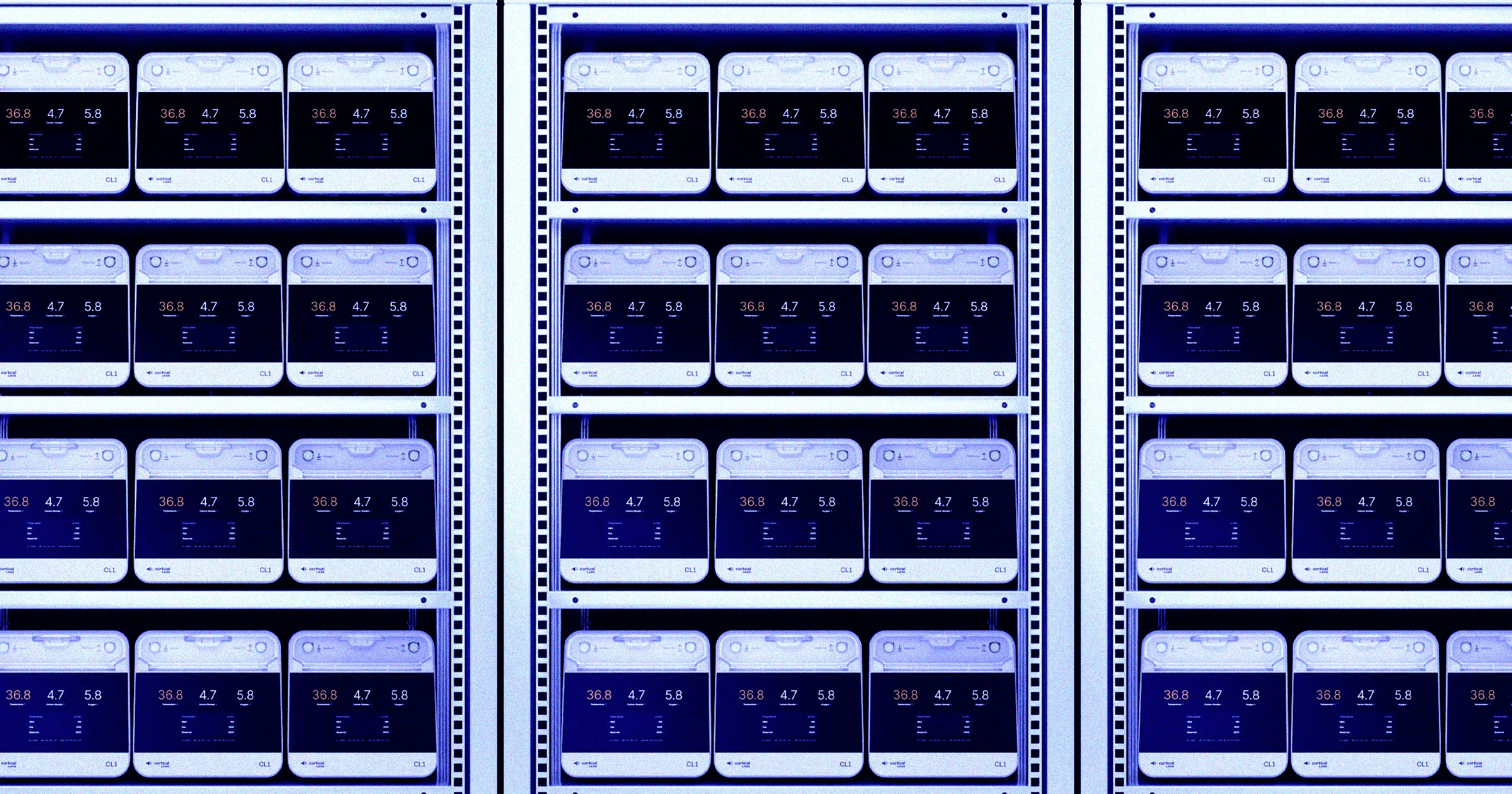 New Data Centers Will Be Powered by Human Brain Cells