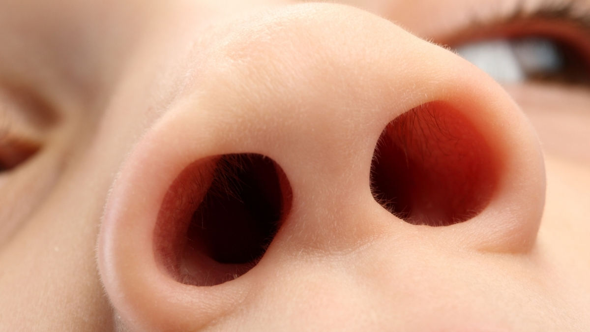 One Nostril Is More Dominant Than The Other. Here’s Why. : ScienceAlert