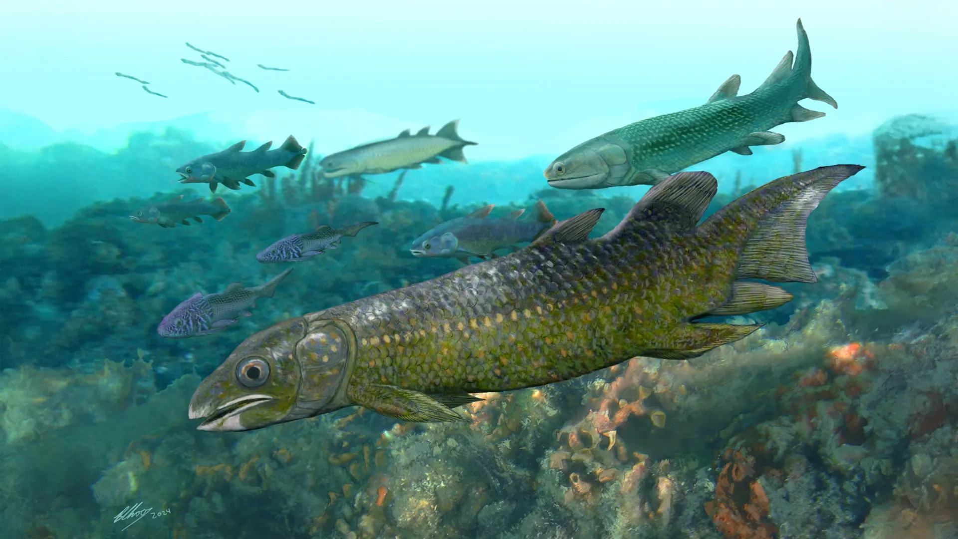 400 million-year-old fish fossils reveal how life began moving onto land