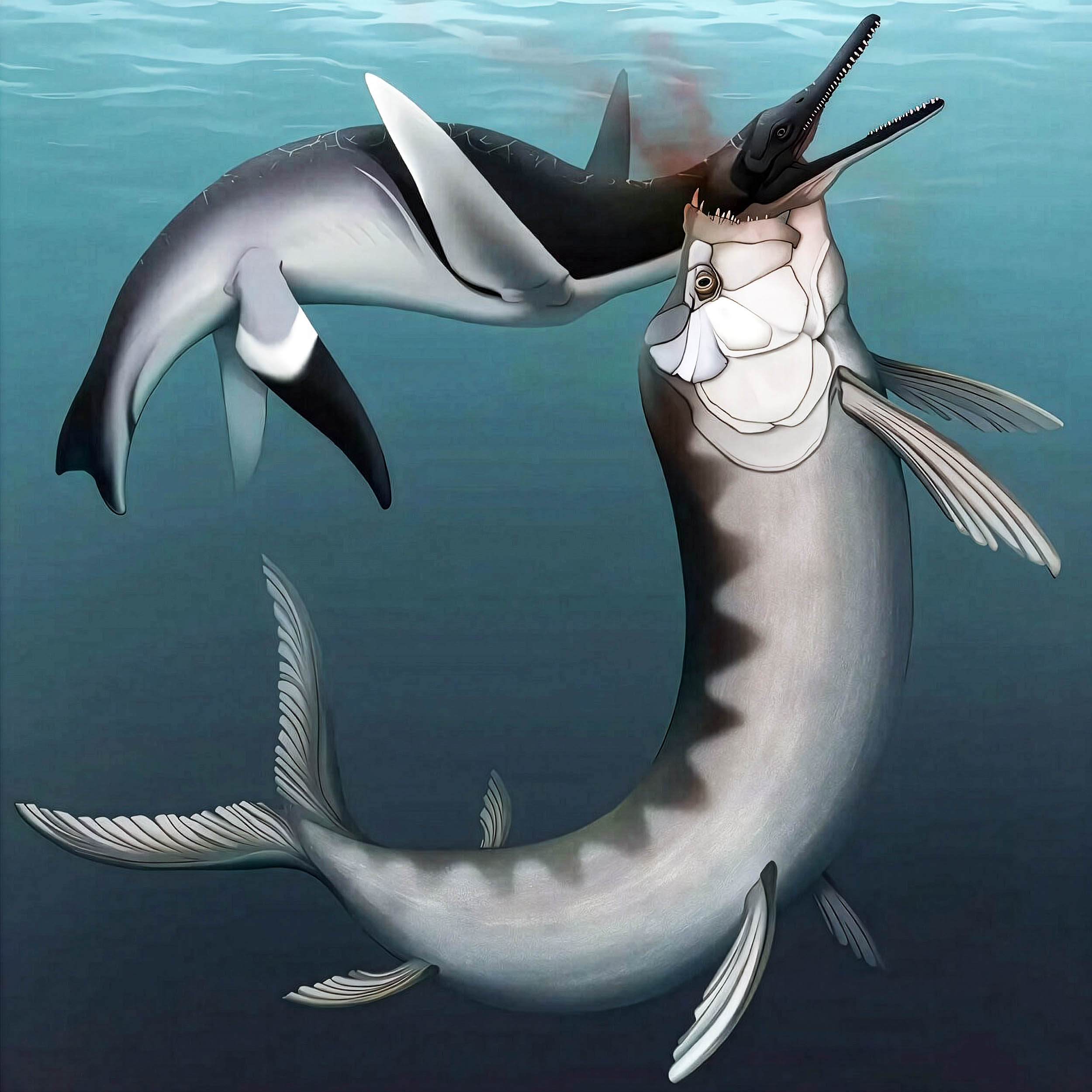 Ancient plesiosaur was taken out by an even bigger predatory fish