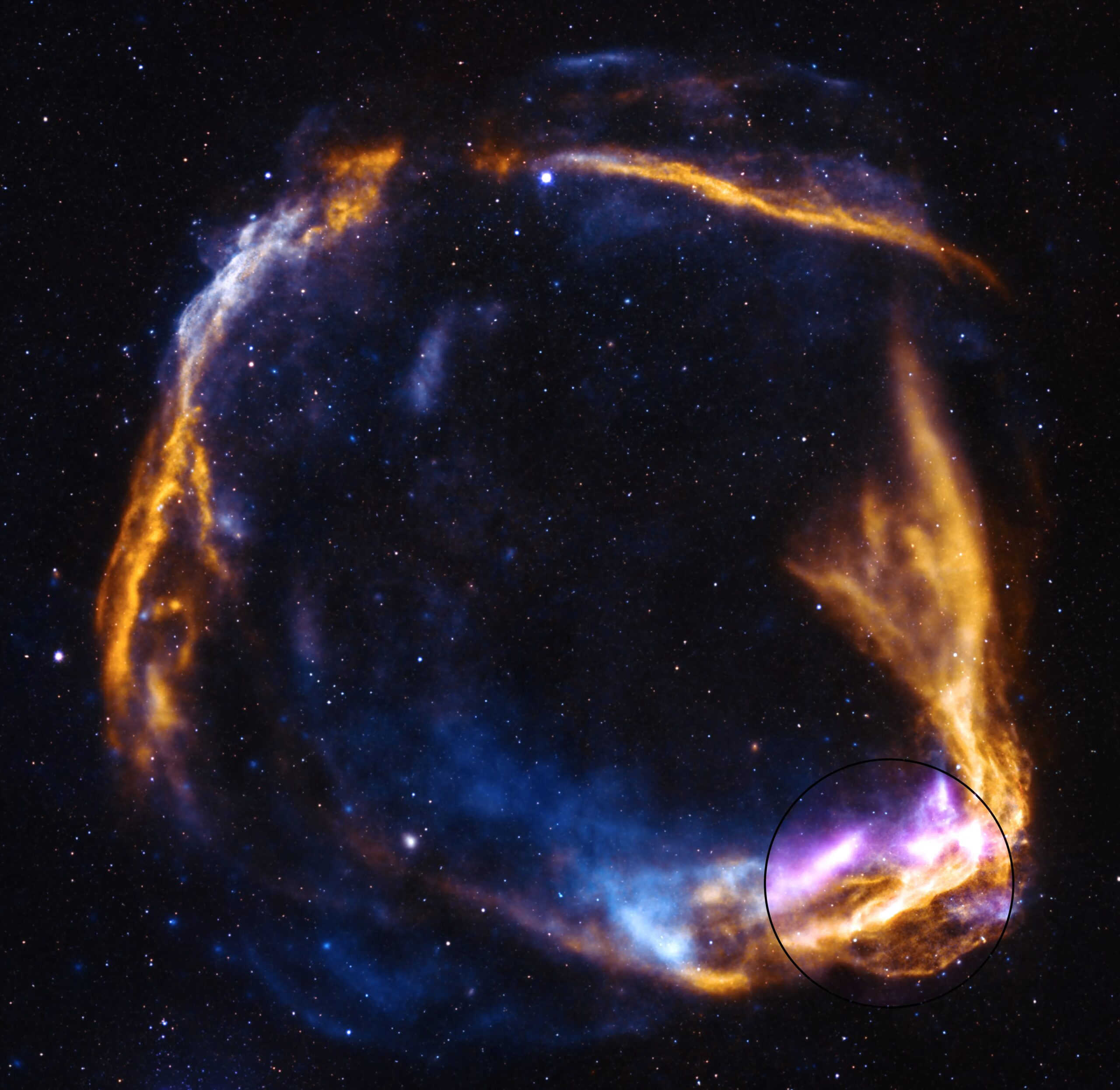 NASA’s IXPE Gets Fresh Look at Supernova