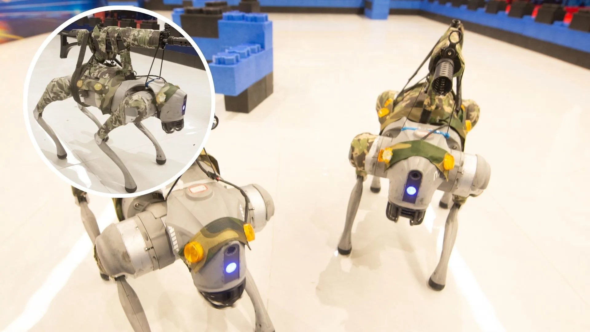 China’s rifle-toting robot dogs operate like swarm combat platform
