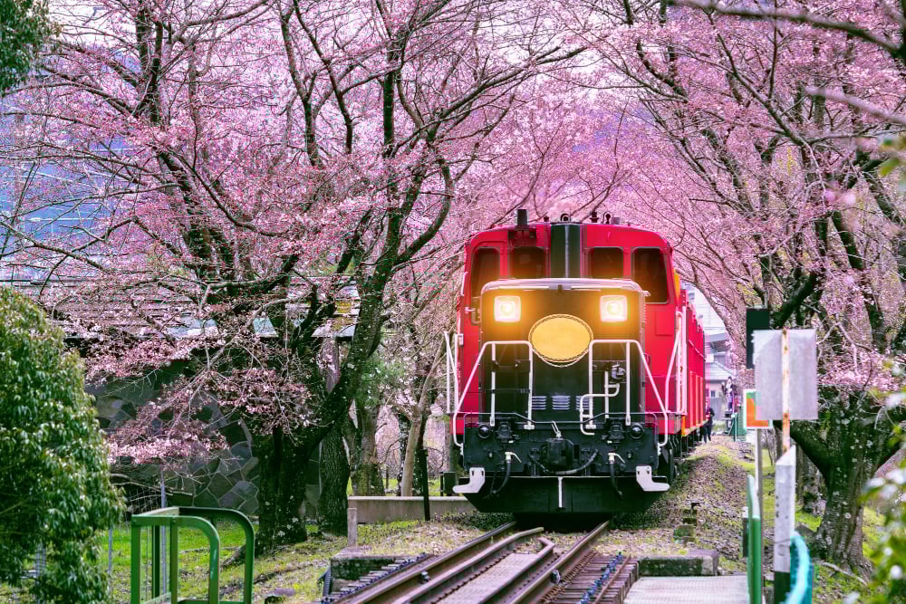 Why Do Japanese Trains Always Arrive On Time? » ScienceABC