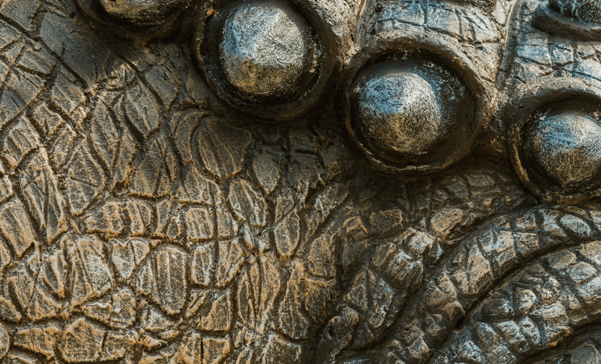 Scientists Find World’s Oldest Fossilized Reptile Skin in Oklahoma Cave