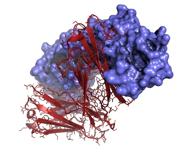 Refeyn launches MyMass instrument to simplify sample quality assessment for structural biology