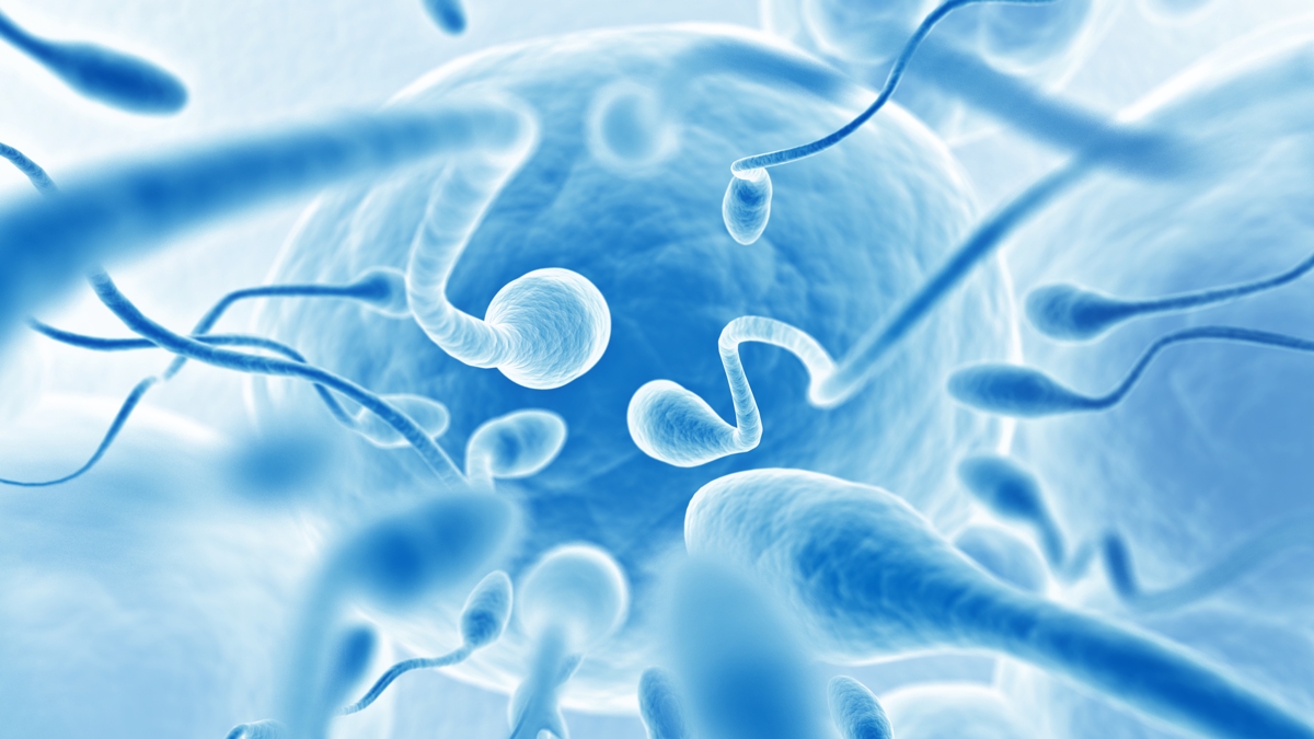 Frequent Ejaculations Can Boost Sperm Quality, Study Suggests : ScienceAlert