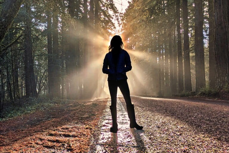 The emotional price of conservation work