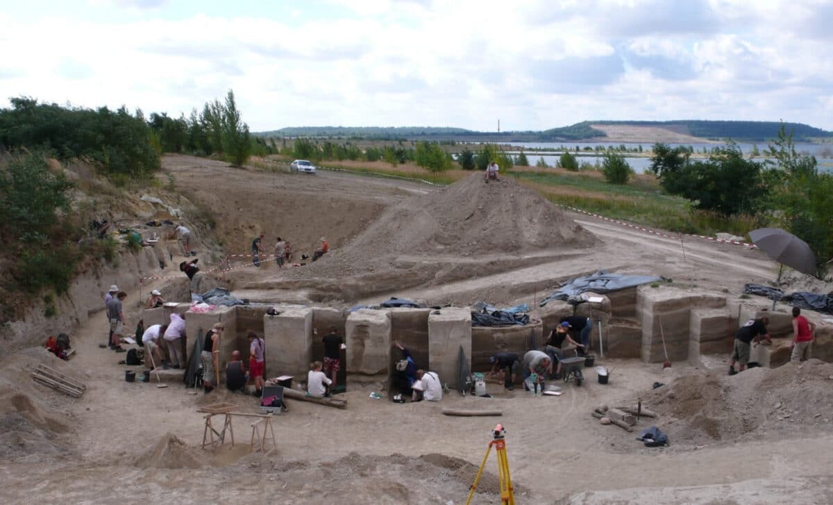 They Dug Into a German Hill and Found a Neanderthal Factory That Predates Henry Ford by 125,000 Years