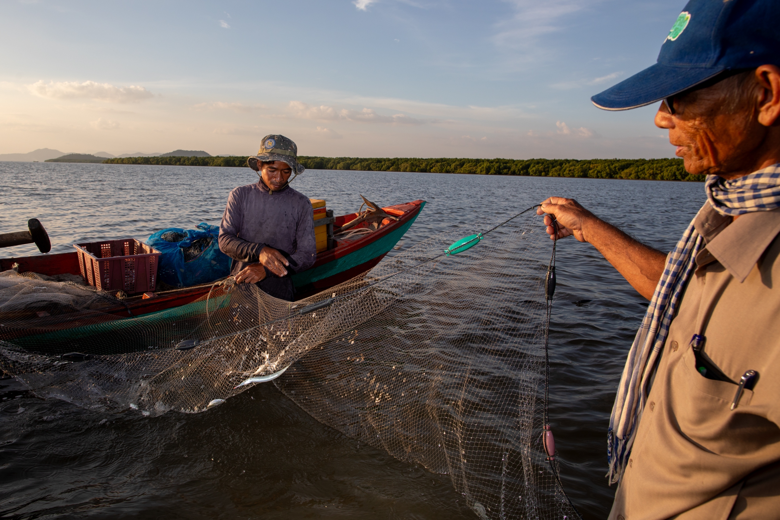 These trees brought a fishery back from the brink. They can help you too
