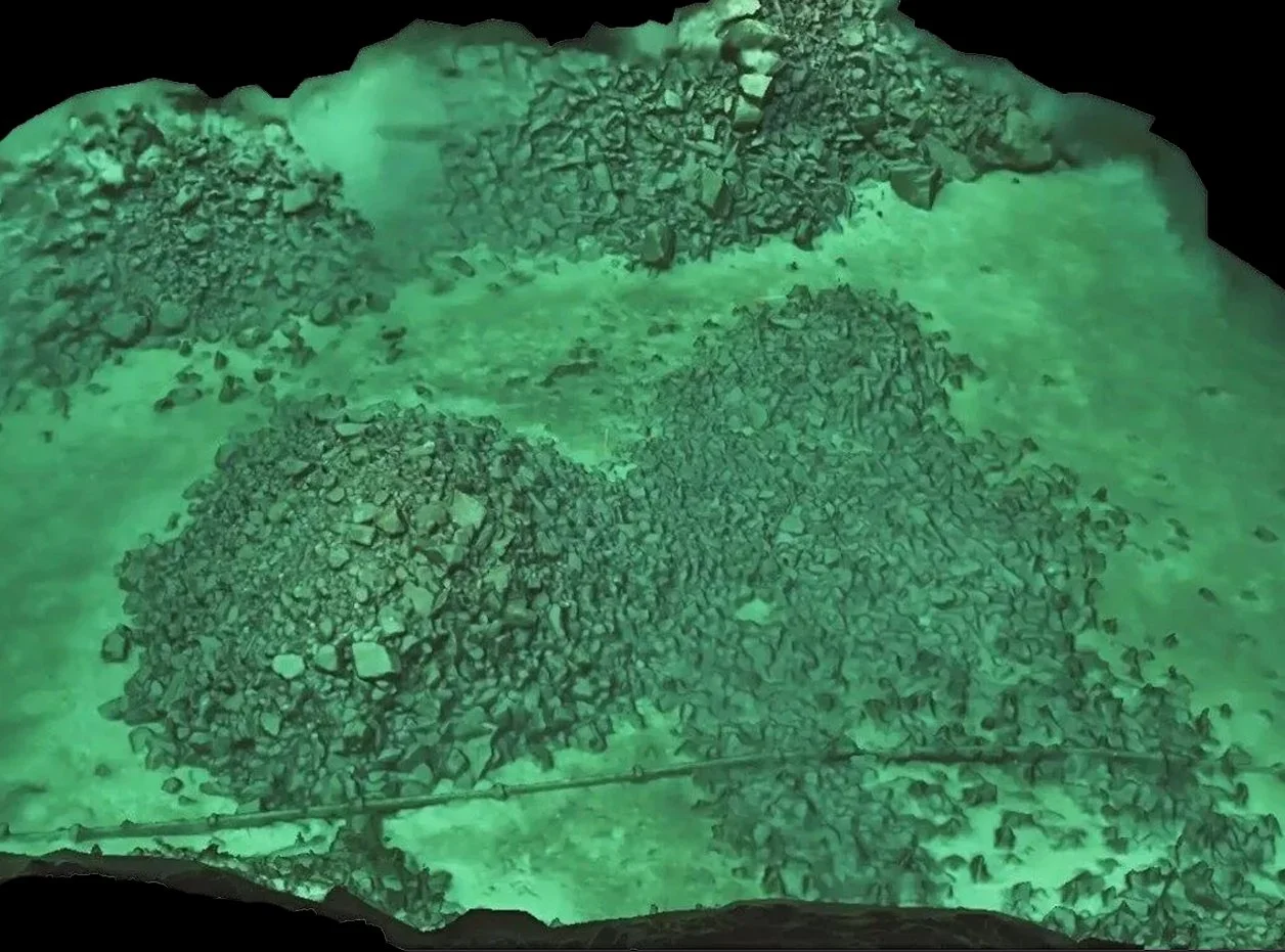 Ancient whale trap discovered beneath Norwegian seabed