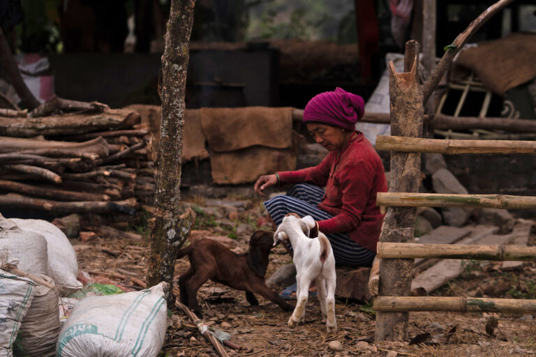 Nepal’s rural women at increasing risk of human-wildlife conflict