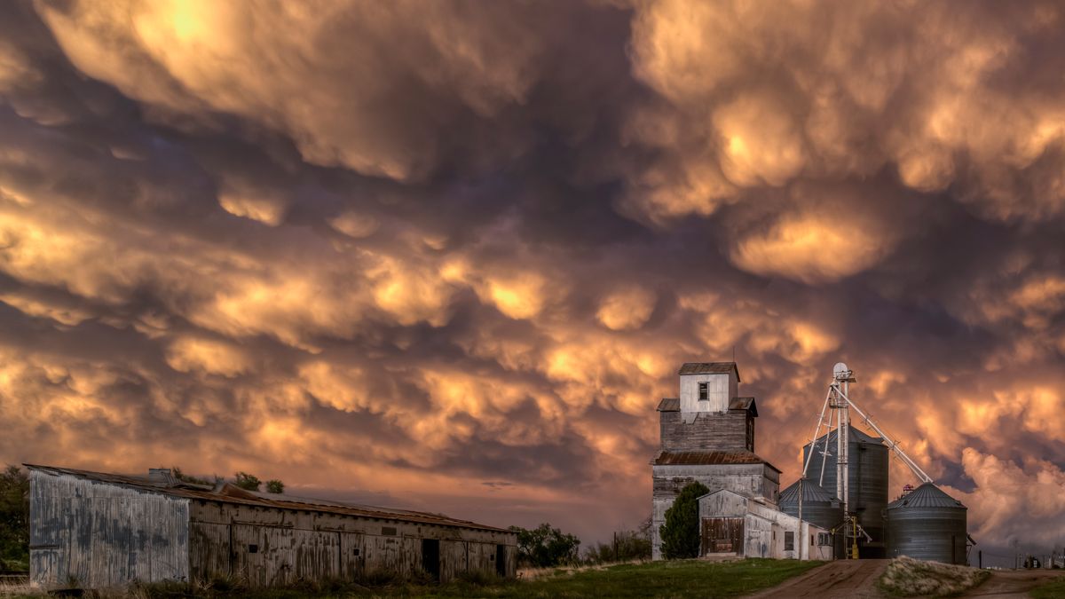 Toxic airborne chemical detected in US for first time sparking health concerns